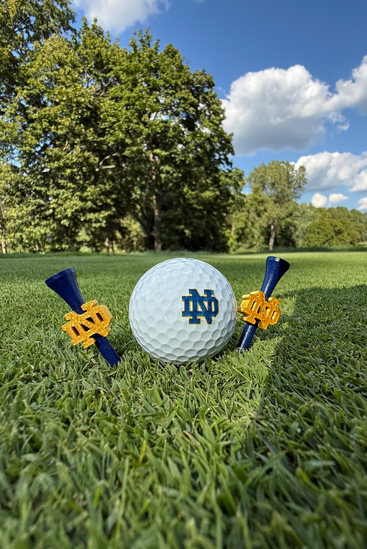 ND Golf Tees x64 with 16x Markers (Gold and Blue)